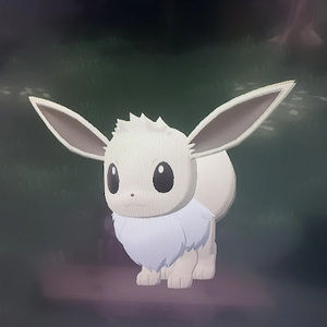 Meet your Posher, Naomi